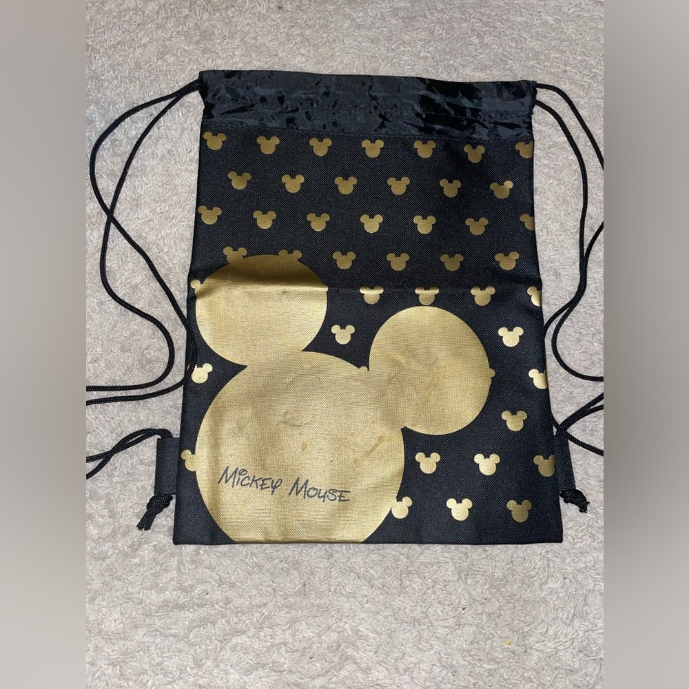 disney handbag b2